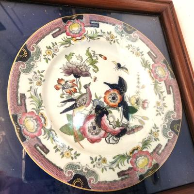 Lot #163  Antique Ironstone Plate in Shadow Box - 19th Century Chinese Import