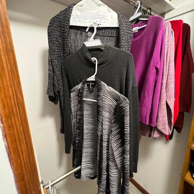 Tommy Hilfiger, Chicoâ€™s, Tribal & More Ladies Sweaterâ€™s Size M/L (BR2-RG)