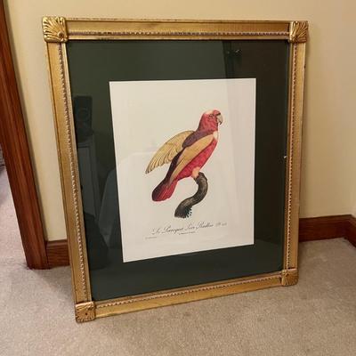 Dezine Box with Bird Lid & Parakeet Artwork (LR-MG)