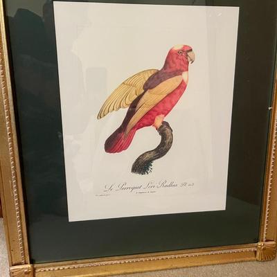 Dezine Box with Bird Lid & Parakeet Artwork (LR-MG)