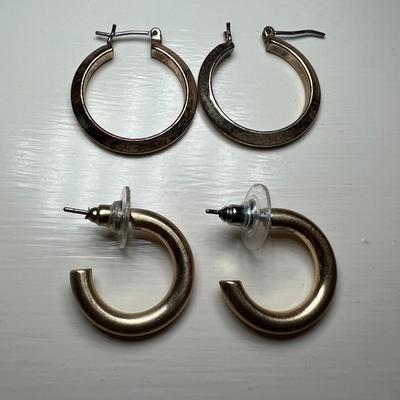 Gold Post and Clip Earrings (BR2-RG)