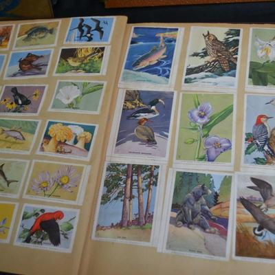 LOT 48. VINTAGE SCRAP/PHOTO BOOKS WITH PICS