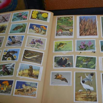 LOT 48. VINTAGE SCRAP/PHOTO BOOKS WITH PICS
