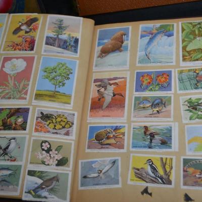 LOT 48. VINTAGE SCRAP/PHOTO BOOKS WITH PICS