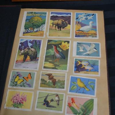 LOT 48. VINTAGE SCRAP/PHOTO BOOKS WITH PICS