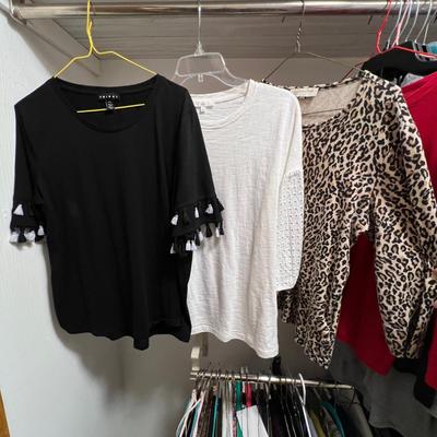 Chicoâ€™s, Tribal & More Size M/L Long/Short Sleeved Tops (BR2-RG)