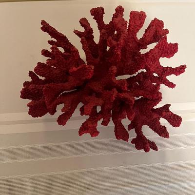 Faux Plant with Shell Planter & Coral Home Decor (BR1-MG)