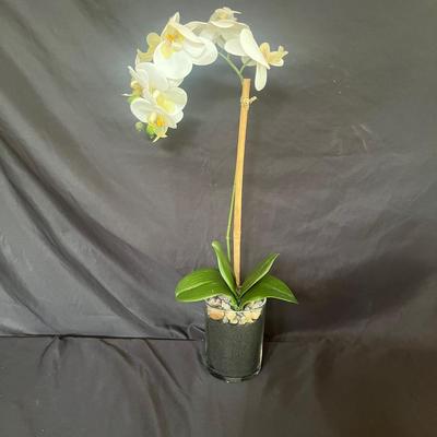 Faux Orchids (SR-MG)