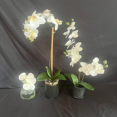 Faux Orchids (SR-MG)