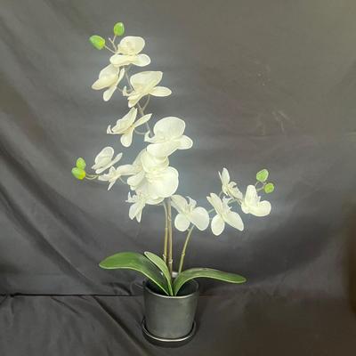 Faux Orchids (SR-MG)