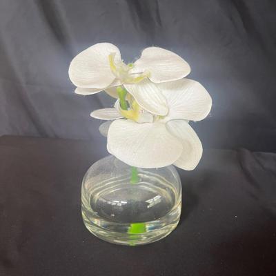 Faux Orchids (SR-MG)