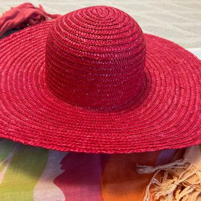 Pashmina & More Scarves Plus Straw Hat, Umbrellas & Belt (BR2-RG)