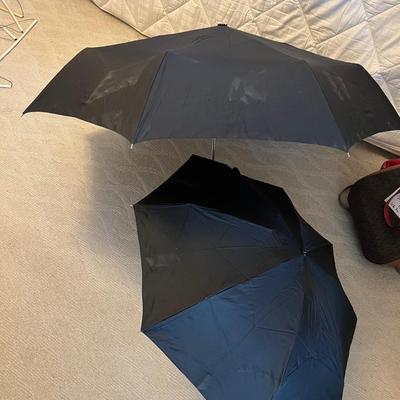 Pashmina & More Scarves Plus Straw Hat, Umbrellas & Belt (BR2-RG)