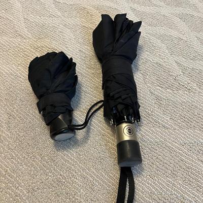 Pashmina & More Scarves Plus Straw Hat, Umbrellas & Belt (BR2-RG)