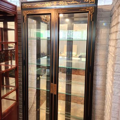 Lot #234 Jasper Original Lighted Glass Display Cabinet