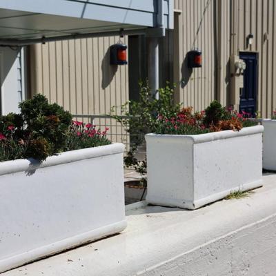 Three Concrete Planters (3). (See description)