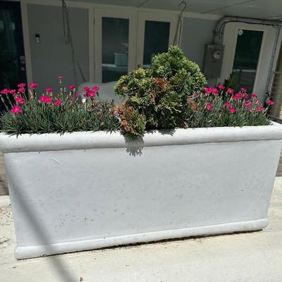 Three Concrete Planters (3). (See description)