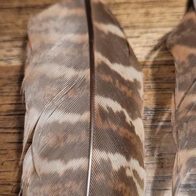 Bb: Real Feather Earrings