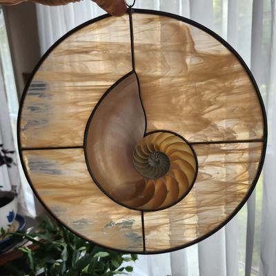 Tiger Nautilus Half shell surrounded by stained leaded glass sun catcher 12"