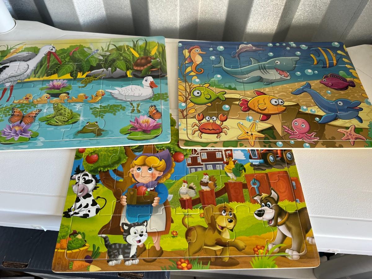 Cardboard puzzles