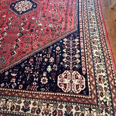 5x7 Hand Knotted Wool Rug