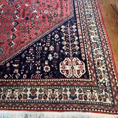 5x7 Hand Knotted Wool Rug