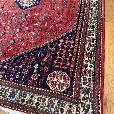 5x7 Hand Knotted Wool Rug