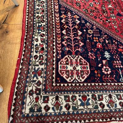 5x7 Hand Knotted Wool Rug