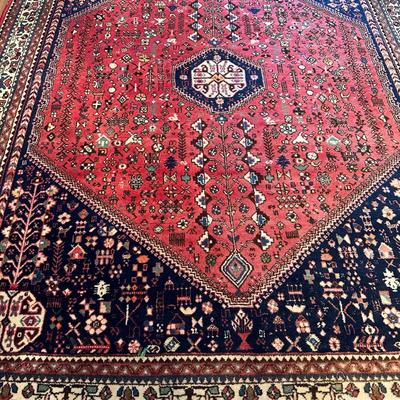 5x7 Hand Knotted Wool Rug