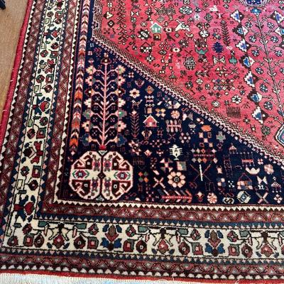 5x7 Hand Knotted Wool Rug