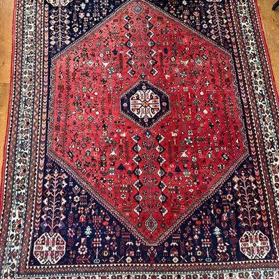 5x7 Hand Knotted Wool Rug