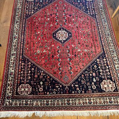 5x7 Hand Knotted Wool Rug