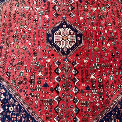5x7 Hand Knotted Wool Rug
