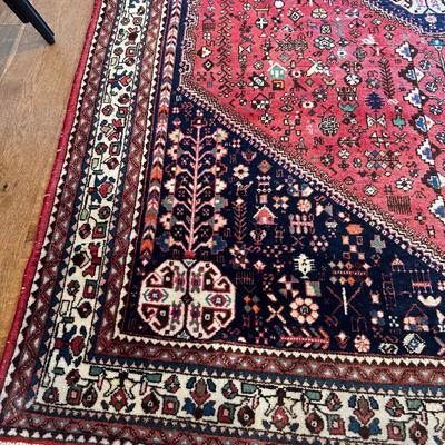 5x7 Hand Knotted Wool Rug