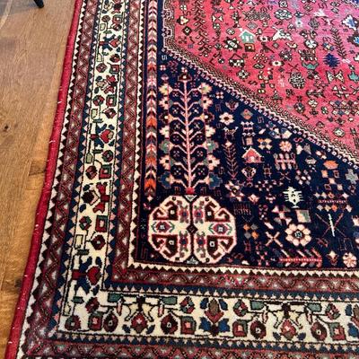 5x7 Hand Knotted Wool Rug