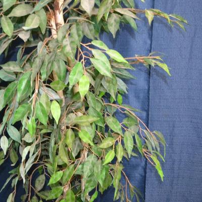 LOT 147. ARTIFICALPLANT/TREE