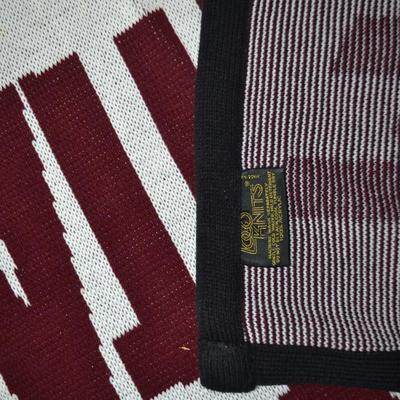LOT 149. VINTAGE MAGIC MOUNTAIN THROW BLANKET & RAGGEDY ANN & ANDY BLANKET