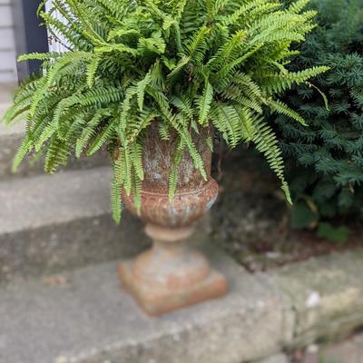 1 of 2 Beautiful Wrought Iron Planters