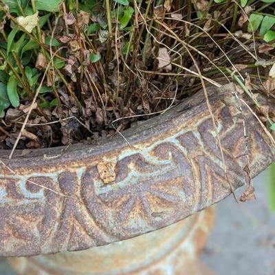 2nd Gorgeous Wrought Iron Planter
