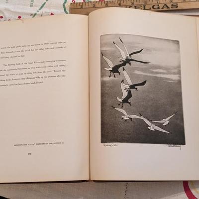Rare BISHOP'S WILDFOWL, 1948 1st Edition