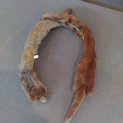 Women's Winter Gloves and Scarves (HC-BBL)