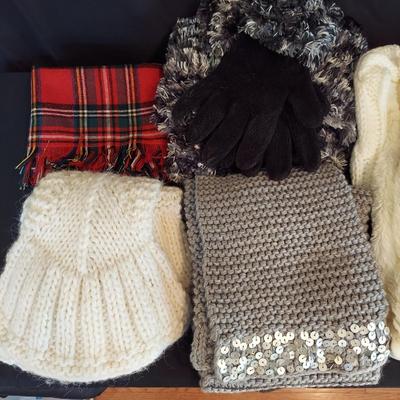 Women's Winter Gloves and Scarves (HC-BBL)