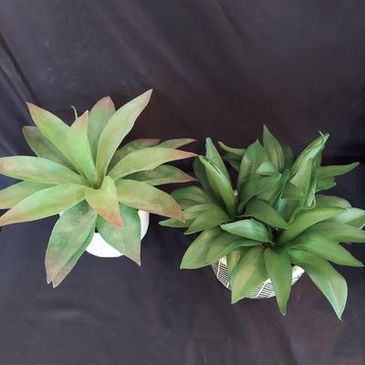 Faux Potted Plants and Topiaries (LR-BBL)