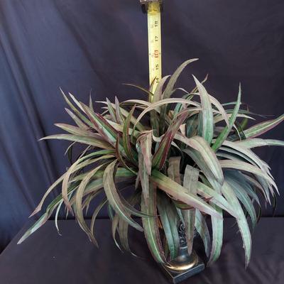 Faux Potted Plants and Topiaries (LR-BBL)