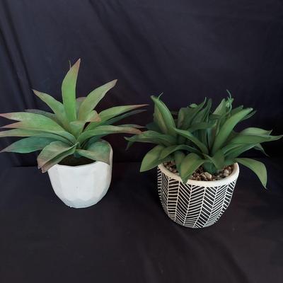 Faux Potted Plants and Topiaries (LR-BBL)