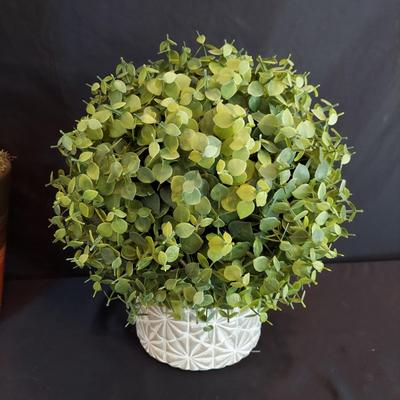 Faux Potted Plants and Topiaries (LR-BBL)