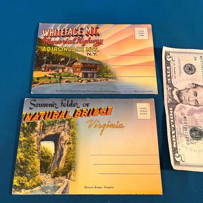 VINTAGE COLORFUL MULTI-VIEW FOLDING POSTCARD FOLIO X 2 VIRGINIA, ADIRONDACKS