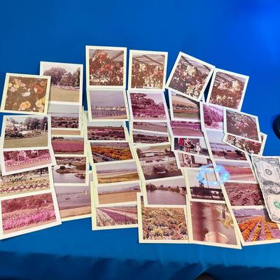 40 COUNT ASSORTED 1963 PHOTO SNAPSHOTS OF UTAH AND CALIFORNIA