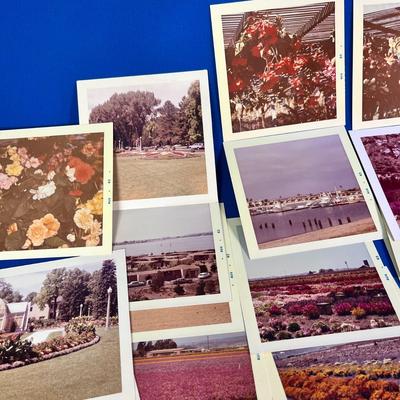 40 COUNT ASSORTED 1963 PHOTO SNAPSHOTS OF UTAH AND CALIFORNIA