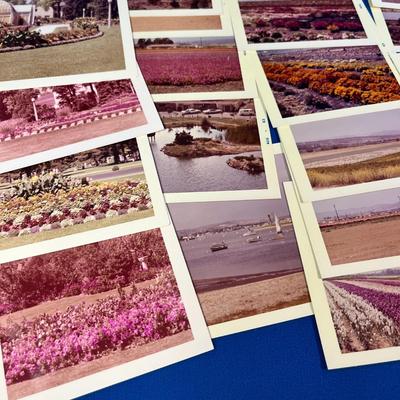 40 COUNT ASSORTED 1963 PHOTO SNAPSHOTS OF UTAH AND CALIFORNIA